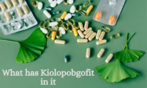 Why Kiolopobgofit Is Important: A Complete Guide
